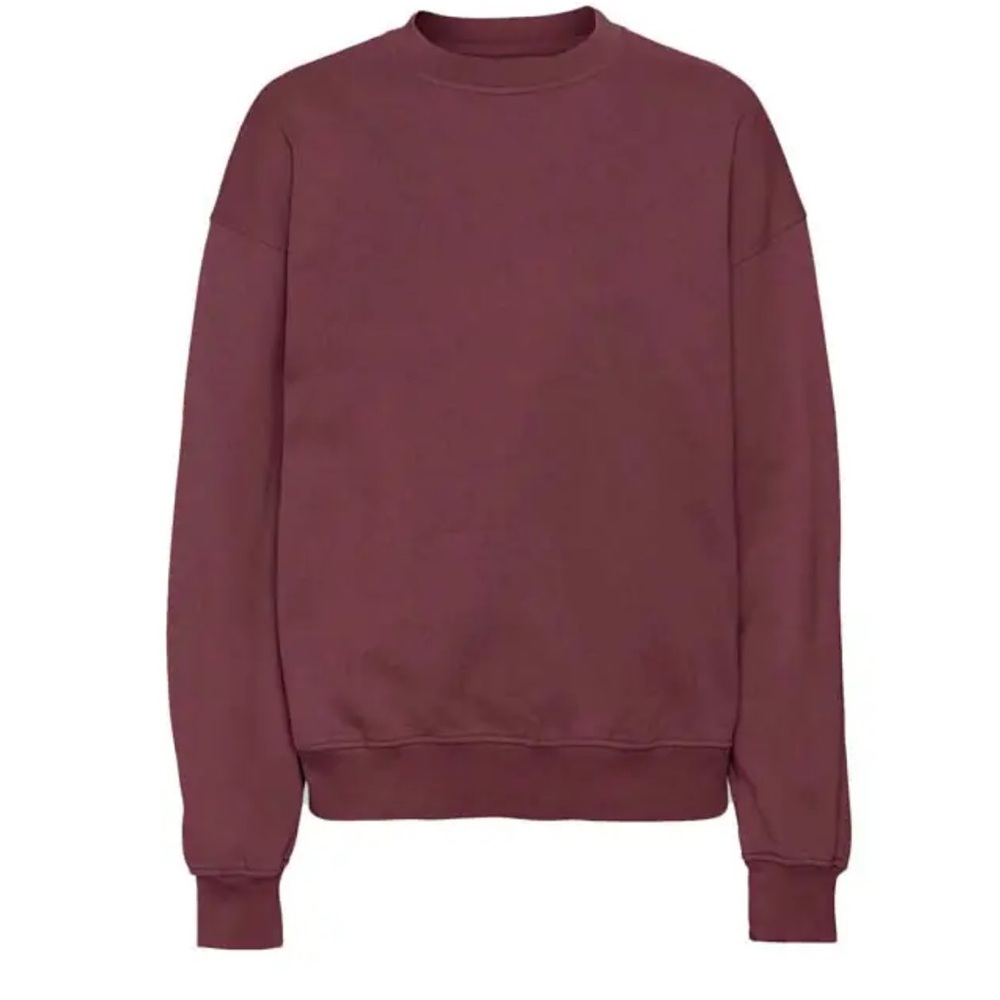 Colorful Standard Unisex Oversized Crewneck Sweatshirt - Dusty Plum Size M